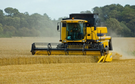В Ростовской области количество сельхозпредприятий сократилось на 8%