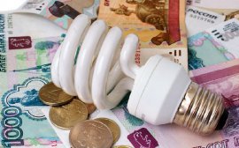 Задолженность дончан за электричество сократилась на 100 млн рублей