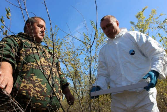 В Ростовской области ветврачи раскладывают вакцину от бешенства вдоль украинской границы