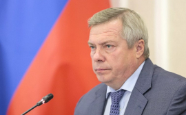Ростовский губернатор Голубев занял 5 место по числу негативных упоминаний