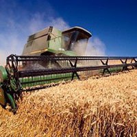 На Дону соберут больше девяти млн тонн зерновых