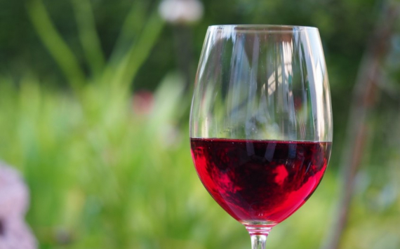 В Ростовской области производство вина выросло на 9,2%