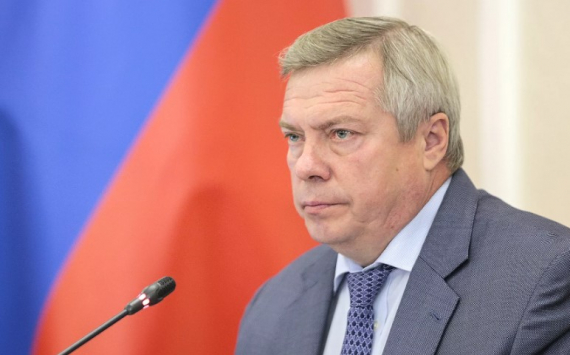 Ростовский губернатор Голубев за год заработал 8 млн рублей
