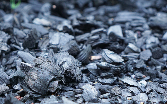В Законодательном собрании Ростовской области обсудили перспективы угольной промышленности