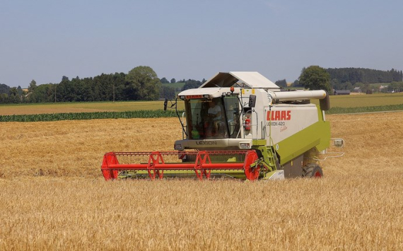 В Ростовской области собрали самый большой урожай зерновых за всю историю