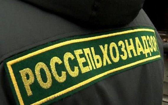 Ростовский Россельхознадзор купит две иномарки за 3,3 млн руб‍лей