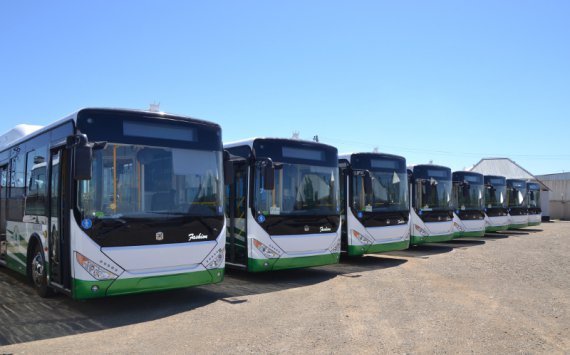 Для Ростова закупят еще 100 новых автобусов на 1,1 млрд рублей‍