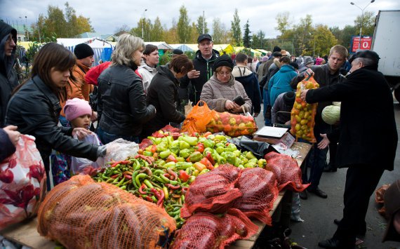 В Ростове 3 ноября пройдёт продовольственная ярмарка 