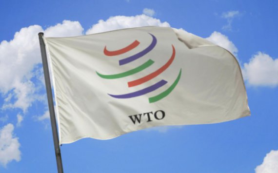 Россия не рассматривает возможность выхода из ВТО‍