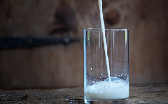 В Ростовской области нарастят объемы производства молока